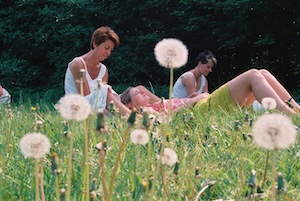 Reiki retraite op de Veluwe